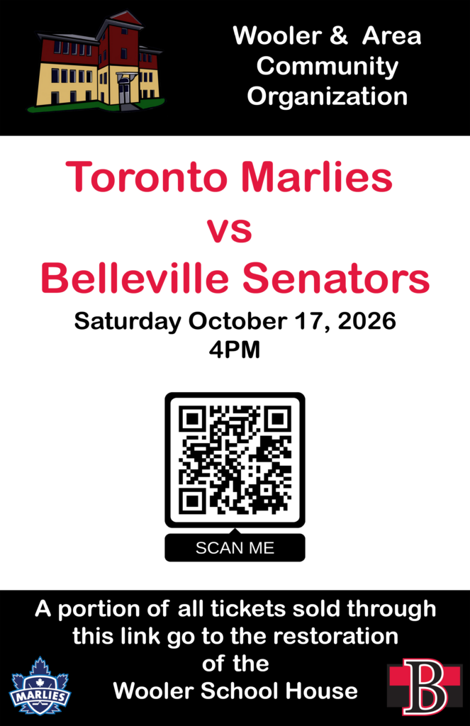Toronto Marlies vs Belleville Senators Sat Oct 17 4pm - Poster