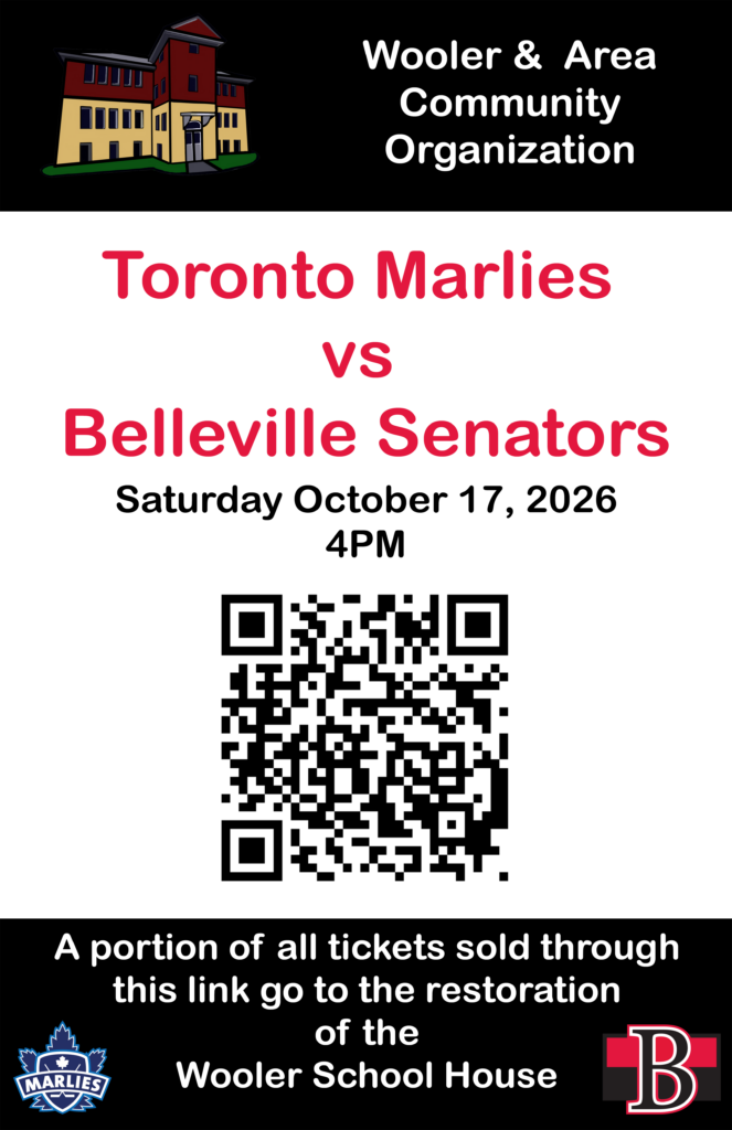 Toronto Marlies vs Belleville Senators Sat Oct 17 4pm - Poster